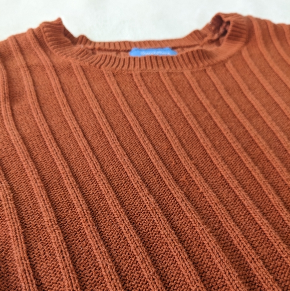 🌷3/15🌷 Simply Vera Wang Burnt Orange Sweater Size XS - Picture 4 of 8
